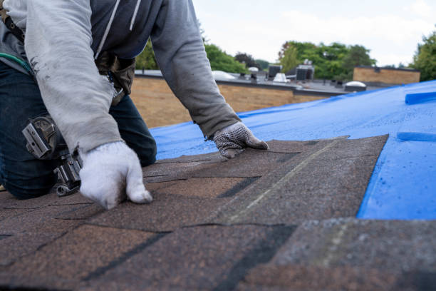 Best Roof Repair Services  in Hazen, ND