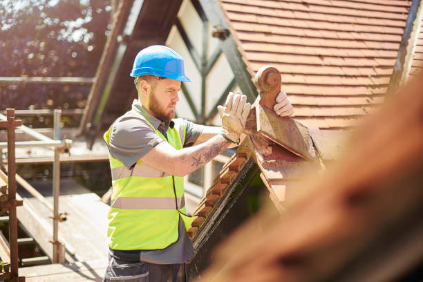Best Roof Maintenance Services  in Hazen, ND